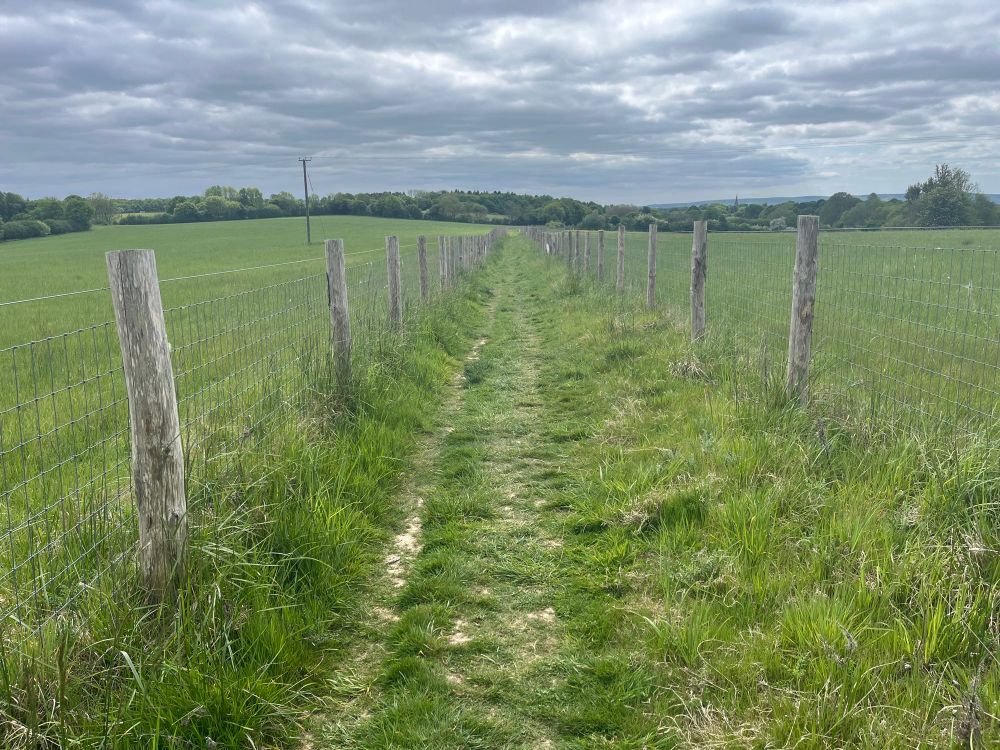 Path through field