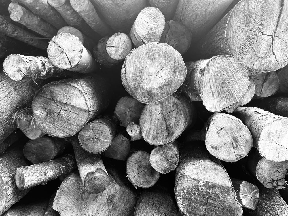 Ends of logs