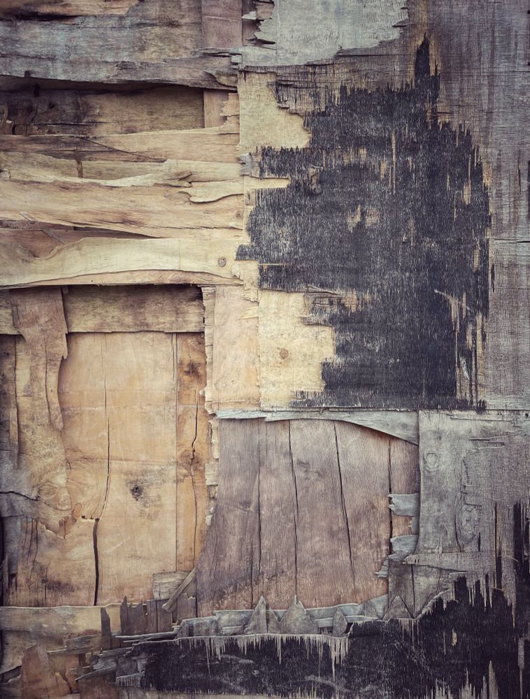 A close-up image of layers and jagged edges of wood from a boarded up doorway. The colours are all shades of muted browns and greys, but there is a good variety of them. 