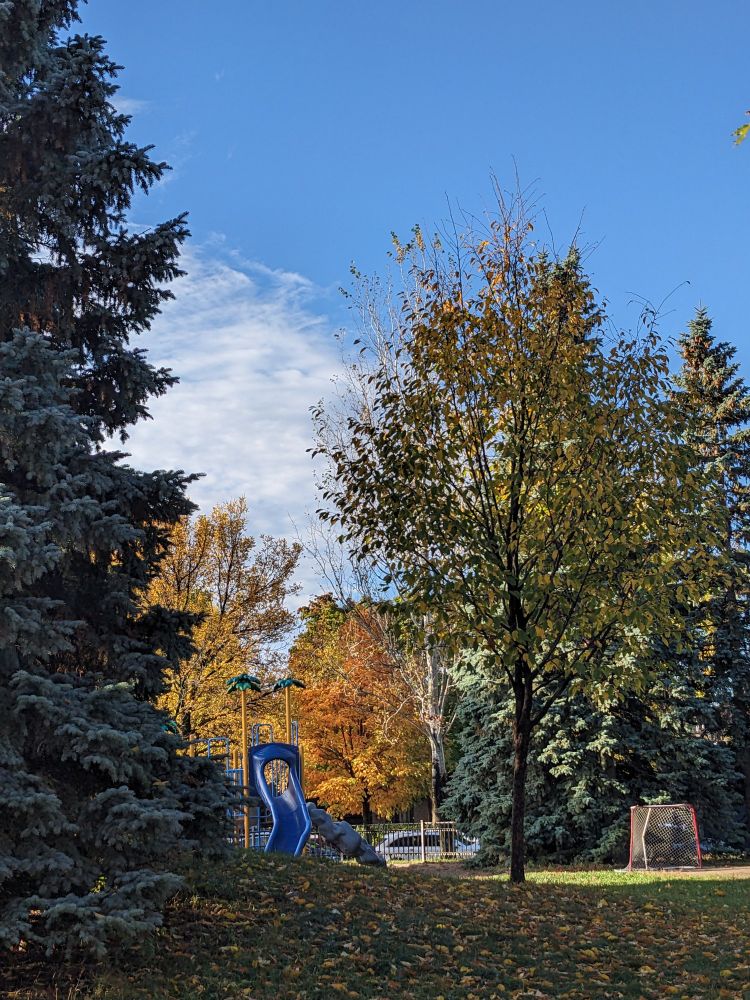 Tiens, le vieux filet de hockey de mes gars est toujours dans le parc !