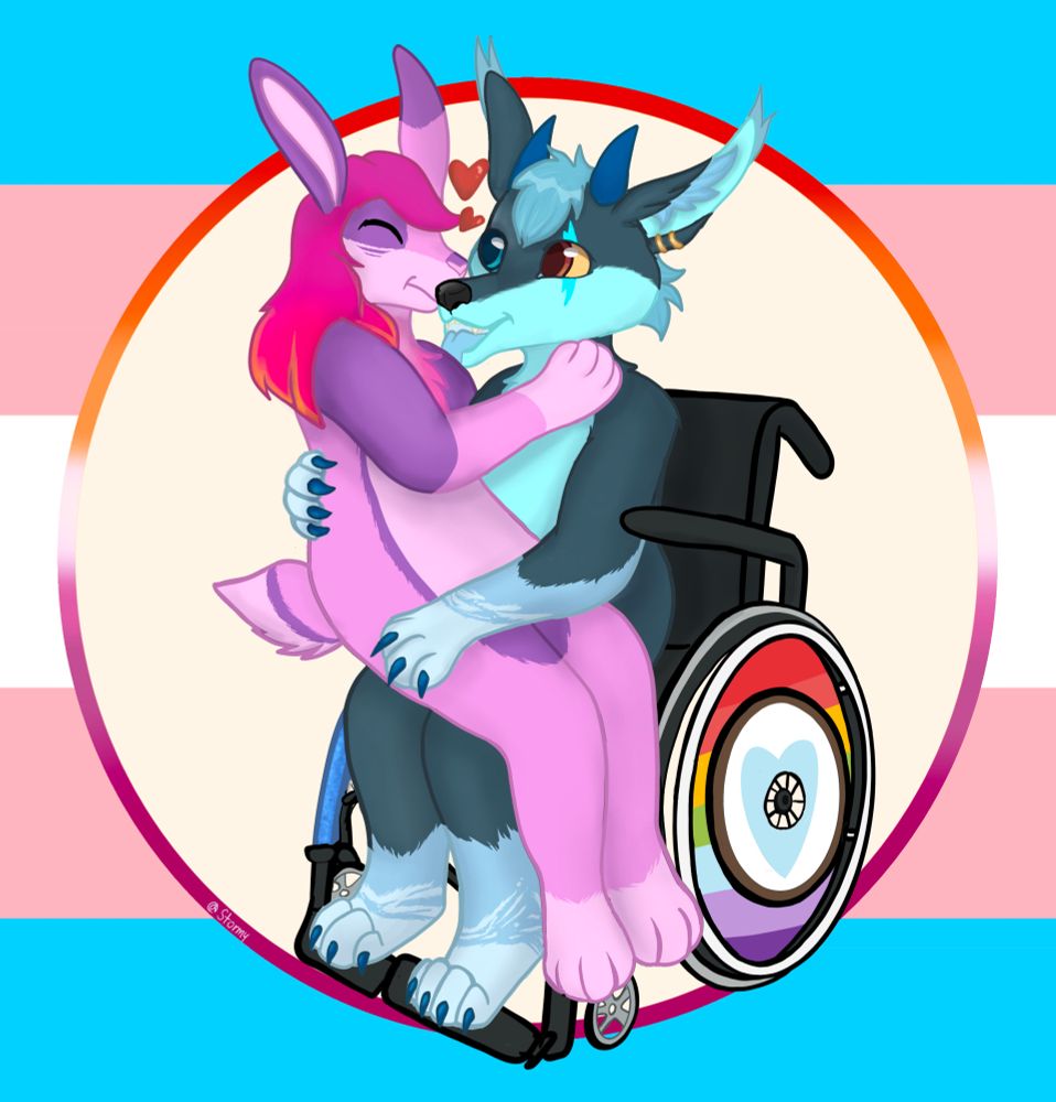 Same as the other picture but it has the trans pride flag as the background.