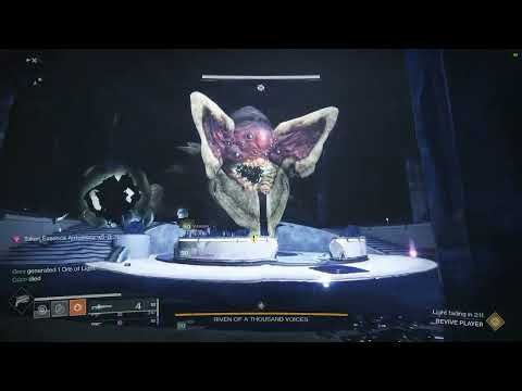 If You Played Destiny 2 With Me, You Are Probably In This Video.