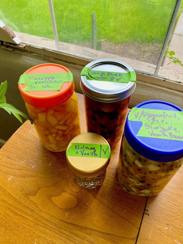 A set of mason jars with infused liquors: Vanilla Pineapple Scotch whisky; Orange, Blueberry, Pomegranate vodka; Dragonfruit, Pear, Blueberry, Vanilla Bean vodka; and a small jar of Nutmeg & Vanilla Bean vodka.