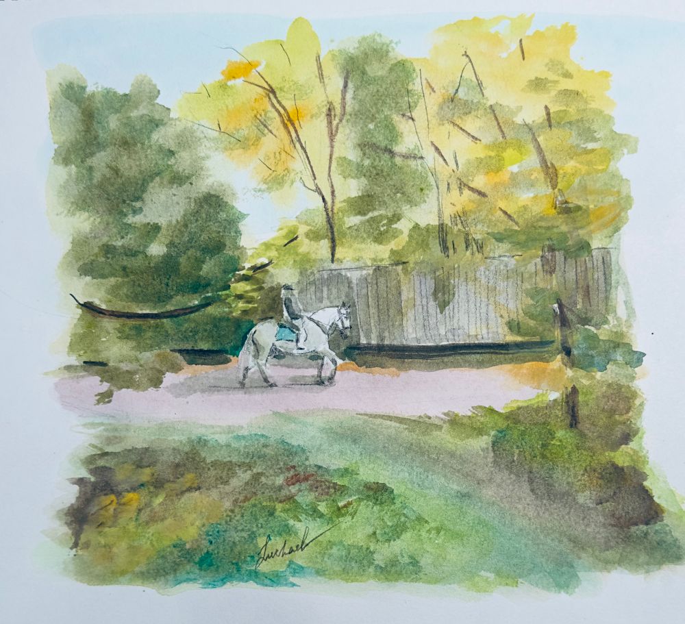 The image is a watercolor painting depicting a rider on a white horse in a lush, green park setting. The rider is wearing dark clothing and is positioned centrally, moving along a pale pink path that cuts through the scene. Surrounding the path are dense clusters of trees with various shades of green and yellow leaves, suggesting an early autumn setting. In the background, a wooden fence is visible, partially obscured by the foliage. The scene conveys a sense of tranquility and natural beauty, with soft transitions of colors typical of watercolor art.