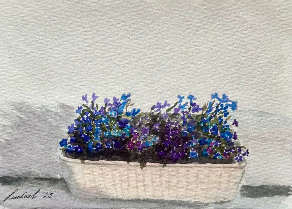 A watercolor painting of a cluster of flowers in a basket. The flowers are small and cute, different shades of blue and purple with a soft cast shadow on the wall behind. 