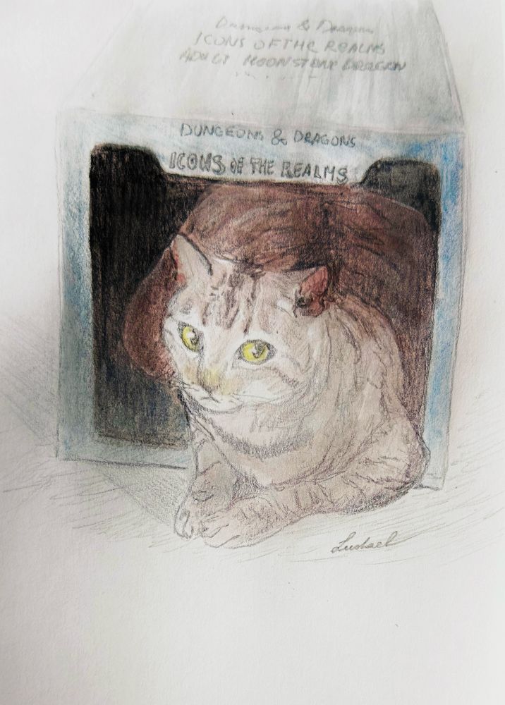 Watercolor drawing of a cat in a d&d box “icons of the realm”