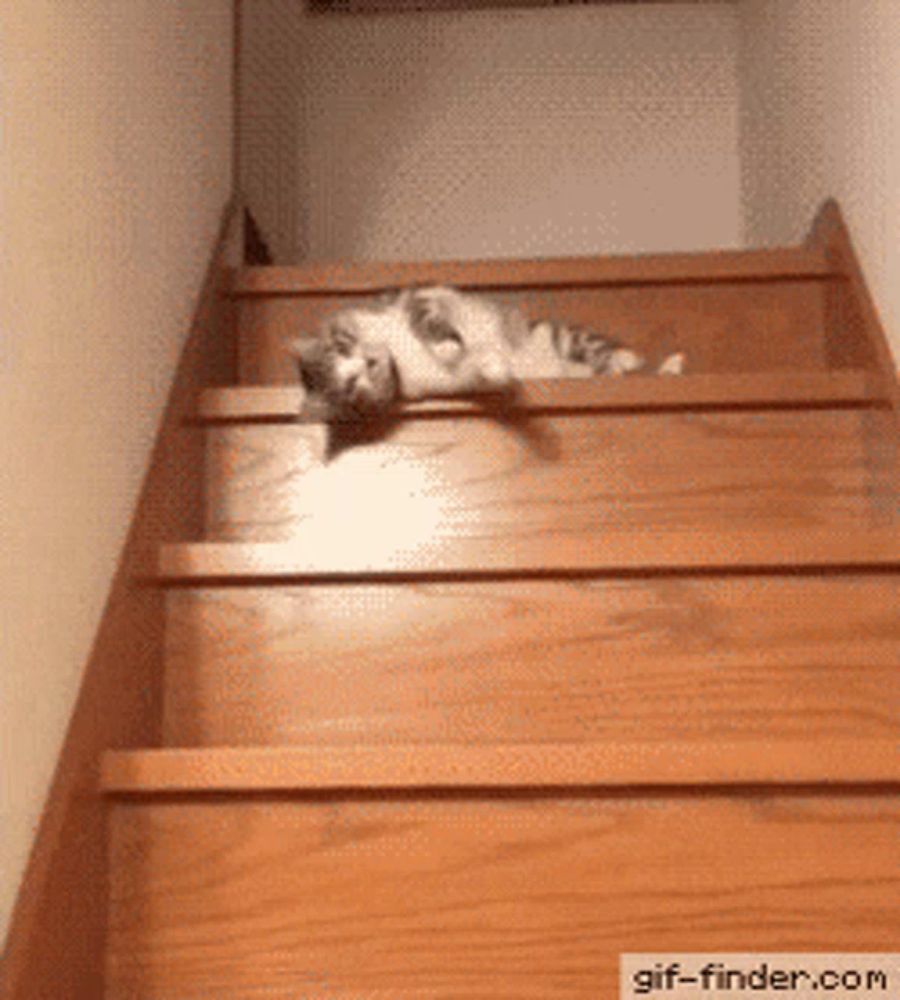 a cat laying on a set of wooden stairs with a gif-finder.com watermark