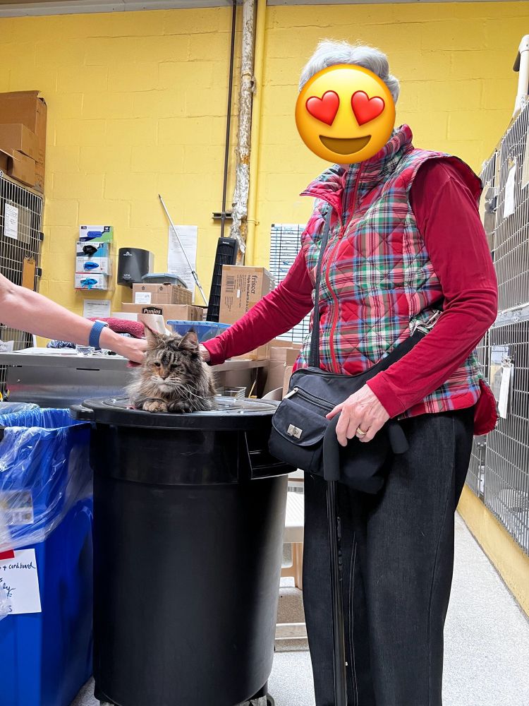 Ellie & Grandma, whose lap will never be cold again! 