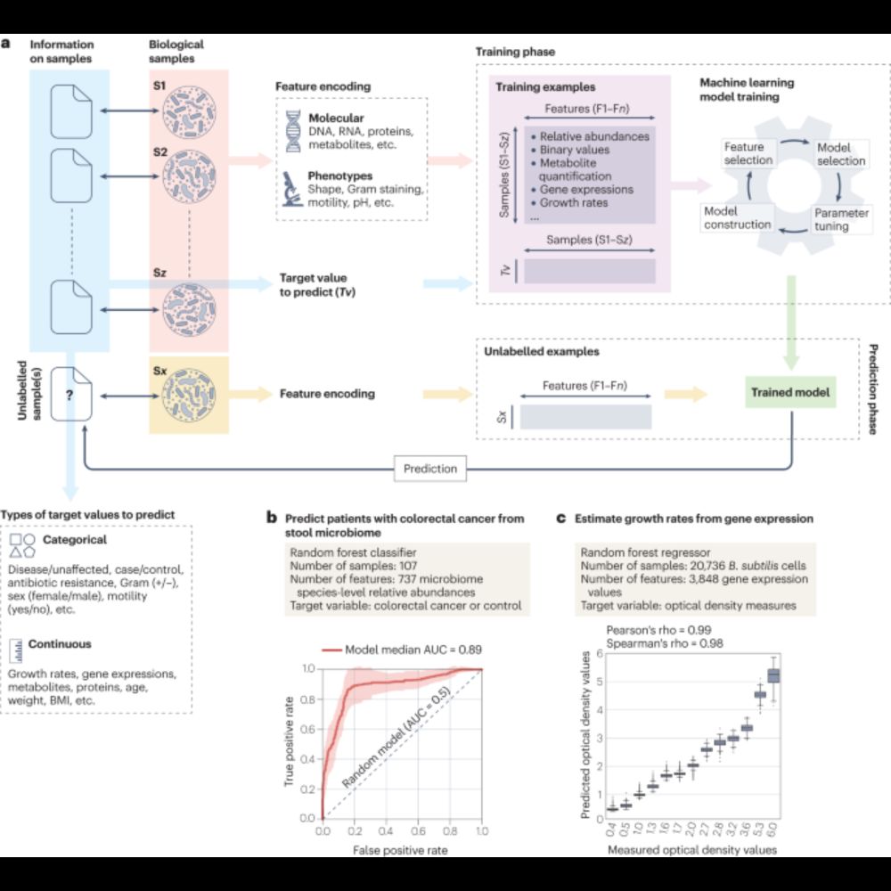 Machine learning for microbiologists - Nature Reviews Microbiology