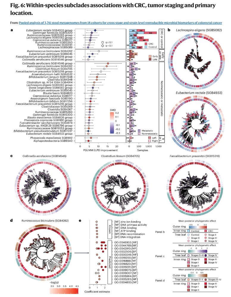 fig6