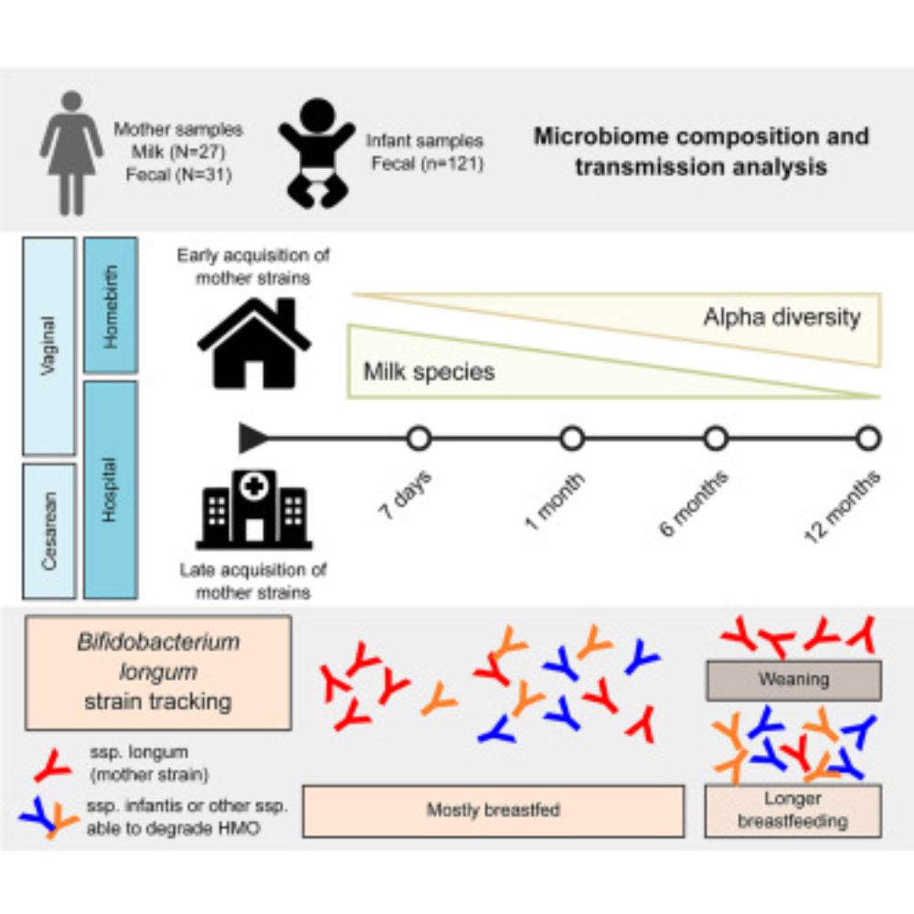 Birthmode and environment-dependent microbiota transmission dynamics are complemented by breastfeeding during the first year