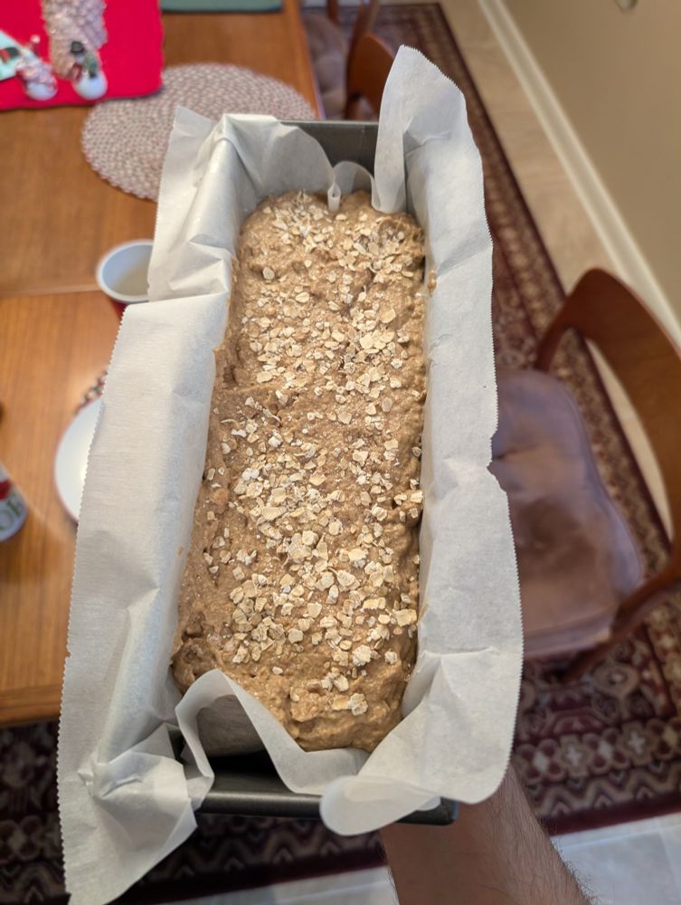 A loaf pan, lined with parchment paper, with brown bread sponge topped with oats, being held awaiting baking