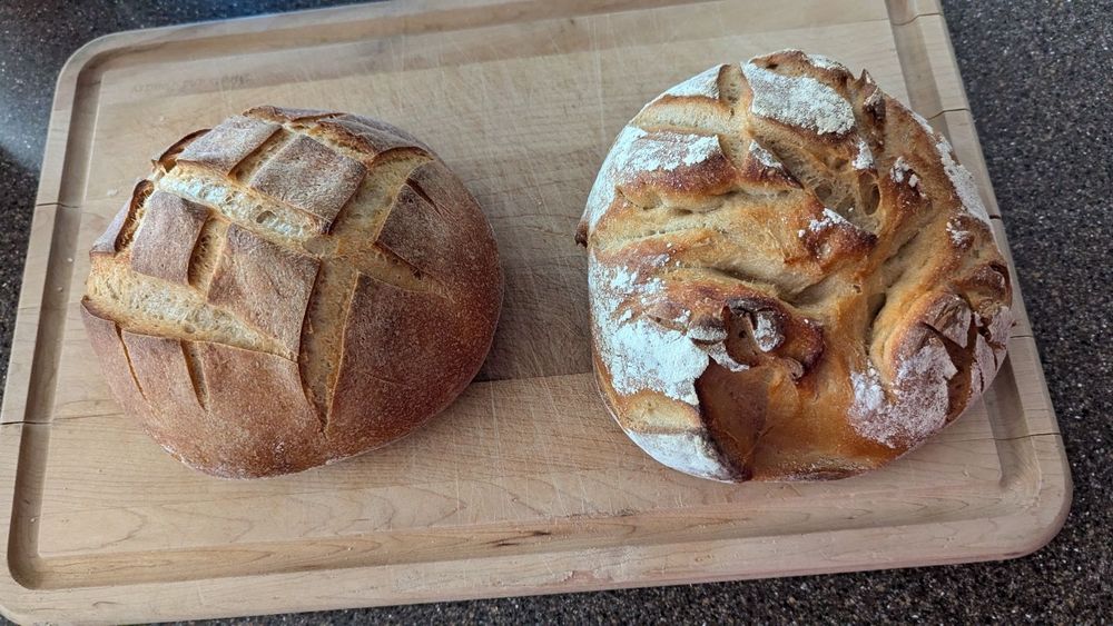 Two baked boules (rounds) of sourdough bread, the one at the right a bit misshapen and crusted with a light dusting of flour around its ruptures, and the one on the left a perfect shape with criss-crossed cuts into its top