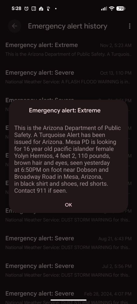 An extreme-level wireless area alert, for a missing child. It is 5:30am.
