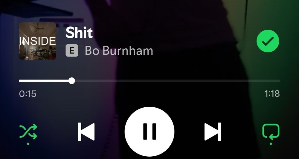 User states "mood" with a screengrab of the song "Shit" by Bo Burnham being played on Spotify.
