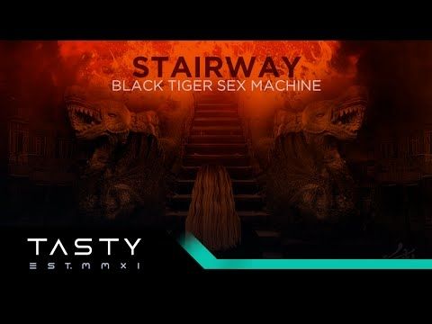 Black Tiger Sex Machine - Stairway