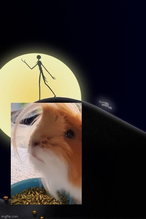 Comment image