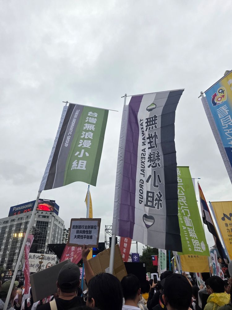 Ace and aro flags carried by their respective group members, raised high above a crowd marching in the pride parade