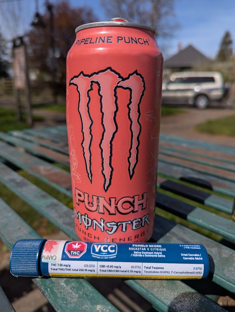 A pink can of monster energy pipeline punch flavour and a blue tube of joints labelled VCC Pomelo Skunk sit on a green metal park picnic table under the sun