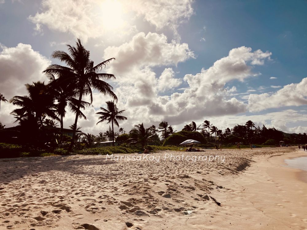 Sun, sand and palm trees. POV from the shoreline. Clouds scattered in the sky.