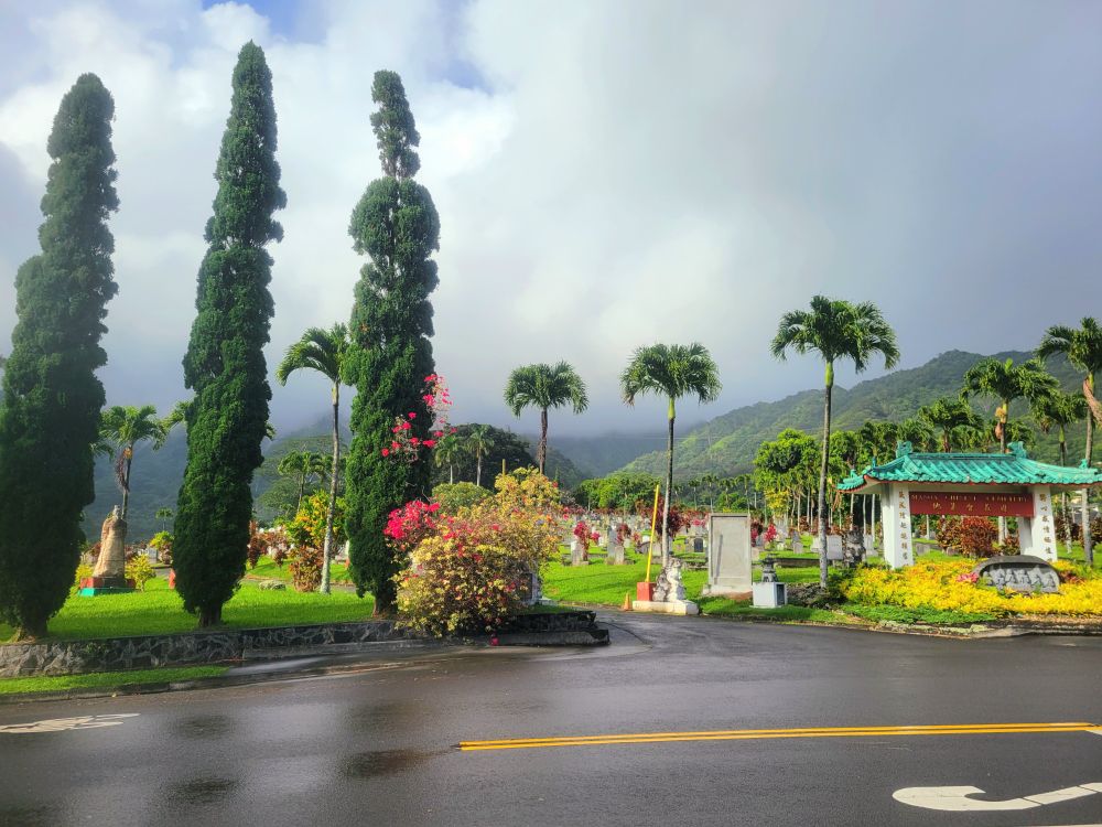 Manoa Chinese Cemetary entrance with a variety of trees lining it.