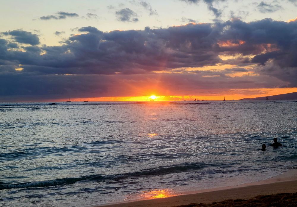 Beach at sunset. 