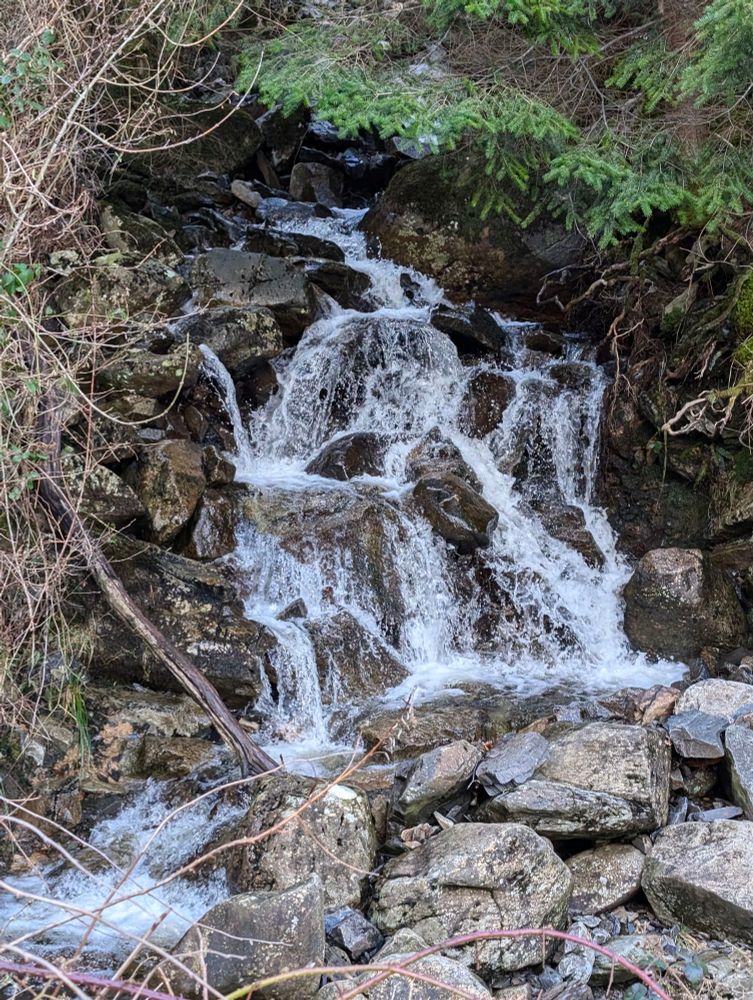 A waterfall flows down rocks with pine trees to the right and browned foliage to the left. The water is all white. 