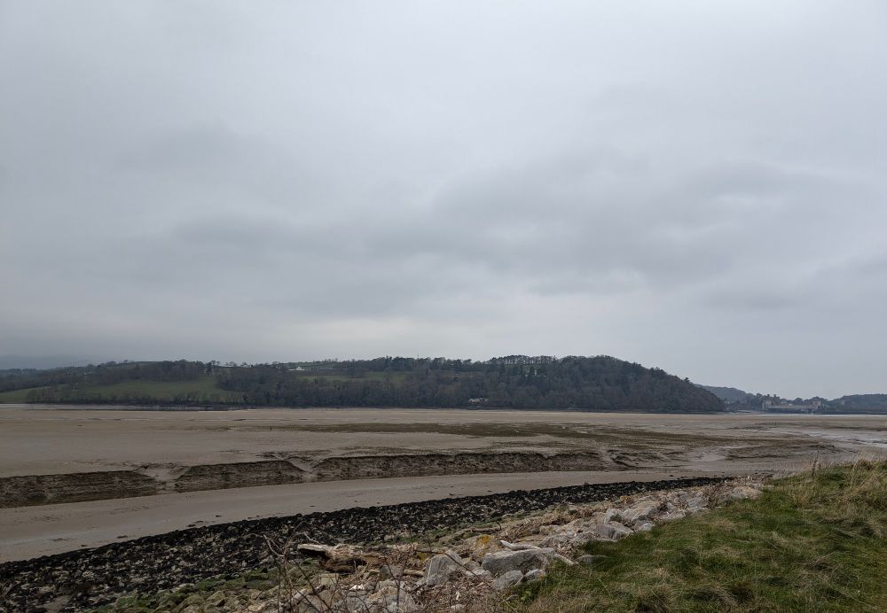 A vast expanse of estuary bed of sand at low tide. In the foreground there is rough, green grass which drops slightly onto pebbles and lots of driftwood. Below that is weed and pebbles which slopes onto the sandy estuary bed. There is a large, muddy trench. In the distance is a large woody hill and Conwy Castle, to the right of it. 