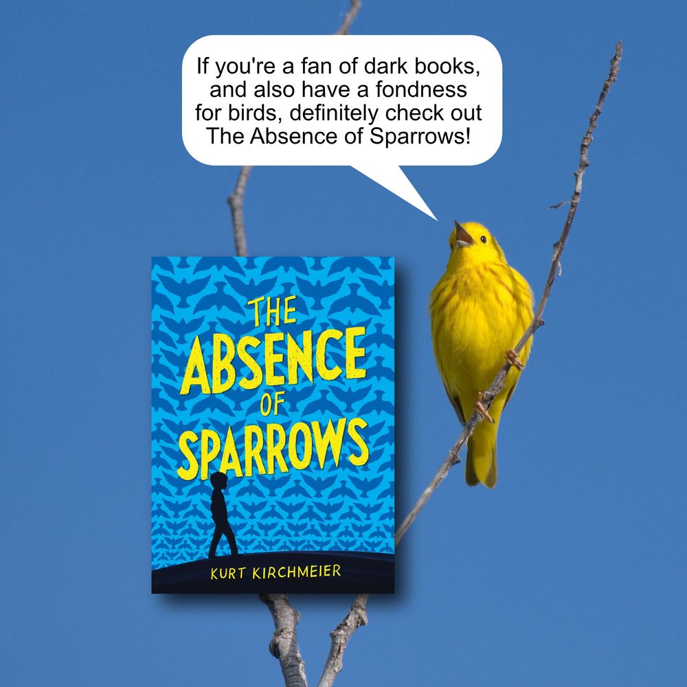 A yellow warbler singing with a dialogue bubble added to recommend the book THE ABSENCE OF SPARROWS by Kurt Kirchmeier. 