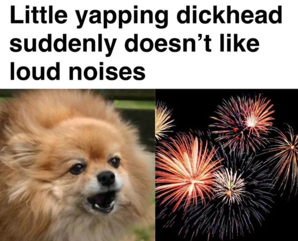 Comment image
