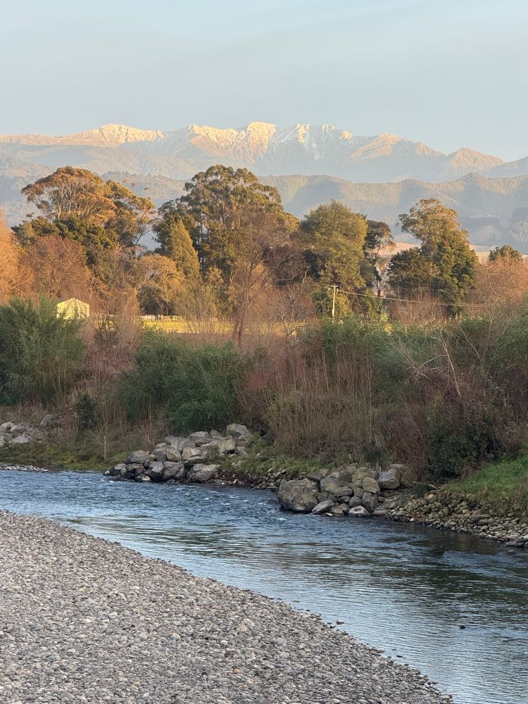Braided river in foreground, snow on mountains in distance 