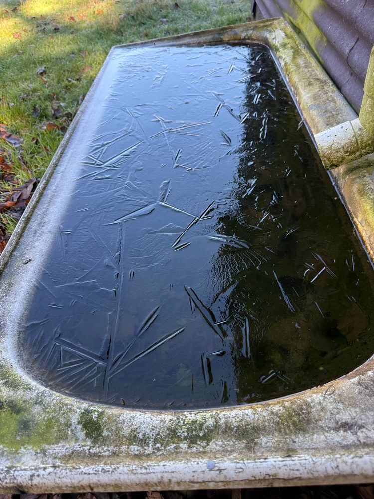 Ice on water 