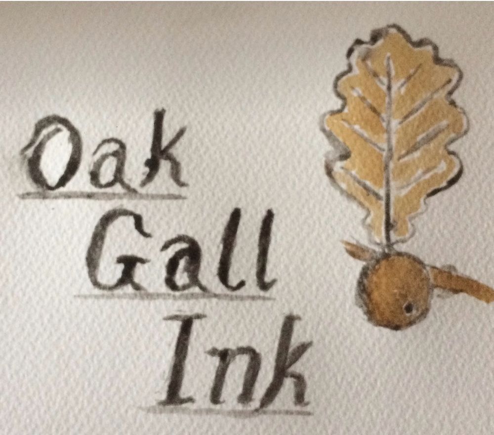 Picture of oak leaf and gall