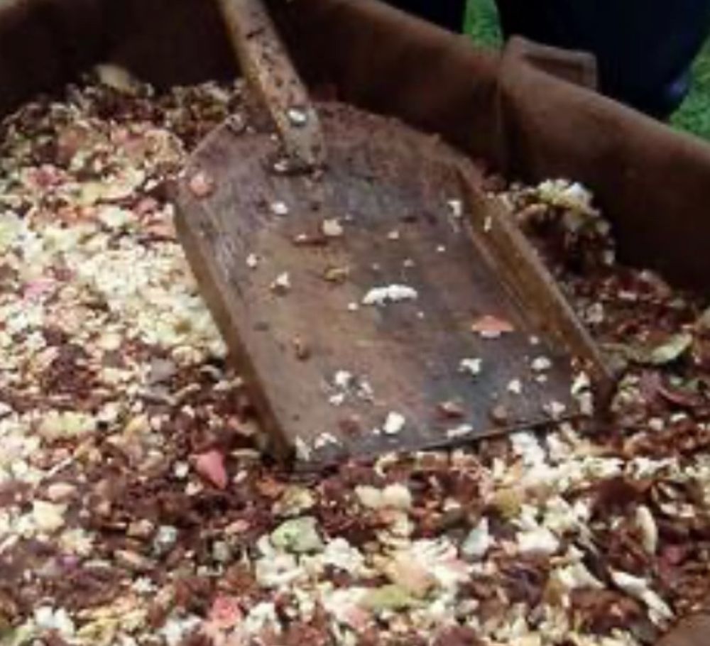 Wooden shovel in apple pomace