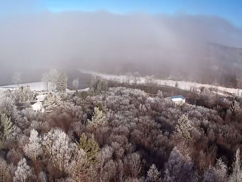 A drone picture from above frost covered trees. Heavy fog obscures the middle distance