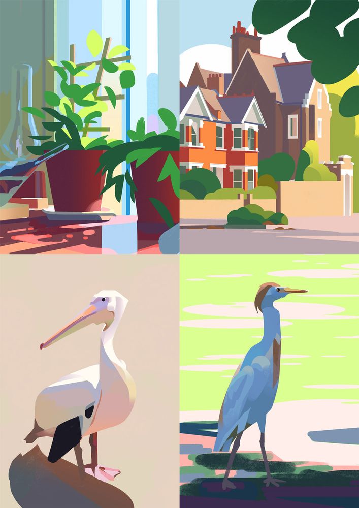 Four separate illustrations. Clockwise from top left: plant pots next to a sunny window, two houses framed by foliage, a pelican, a tall bird in shadow.