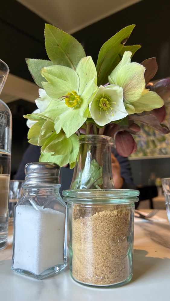 Picture of hellebore flowers in a vase on a cafe table.
