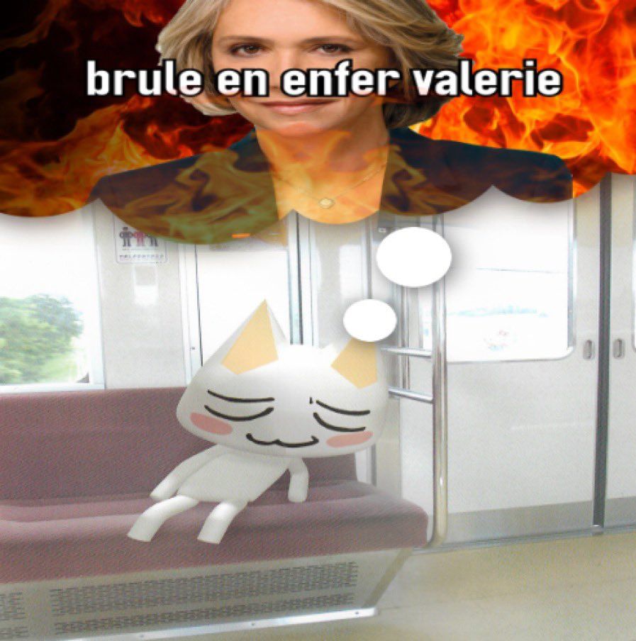 Meme d’un petit chat dans un métro il est endormi avec une bulle au-dessus de sa tête où il est marqué brûle en enfer Valérie avec sa vieille gueule et des flammes 