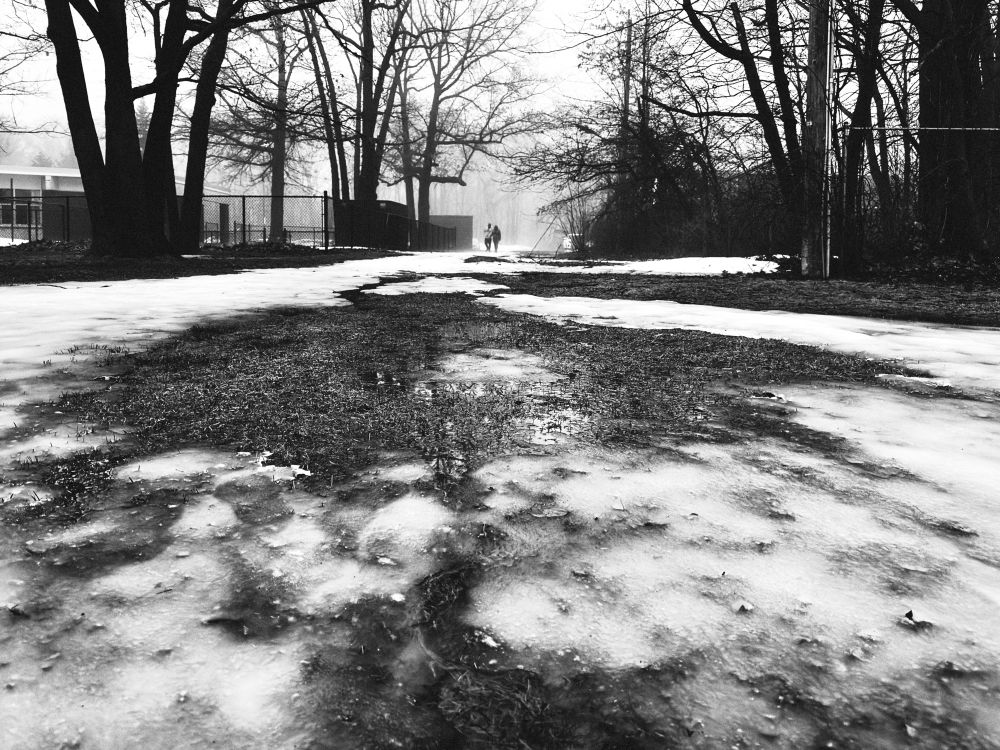 People walking at the park on a frozen day. 