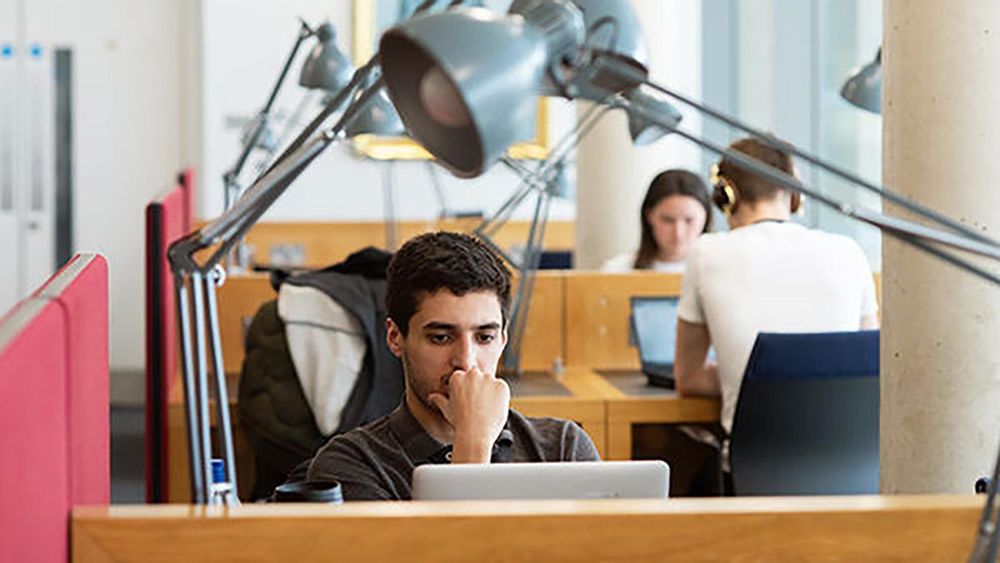A student sitting at a window desk in the Sainsbury Library. Photo by John Cairns. 