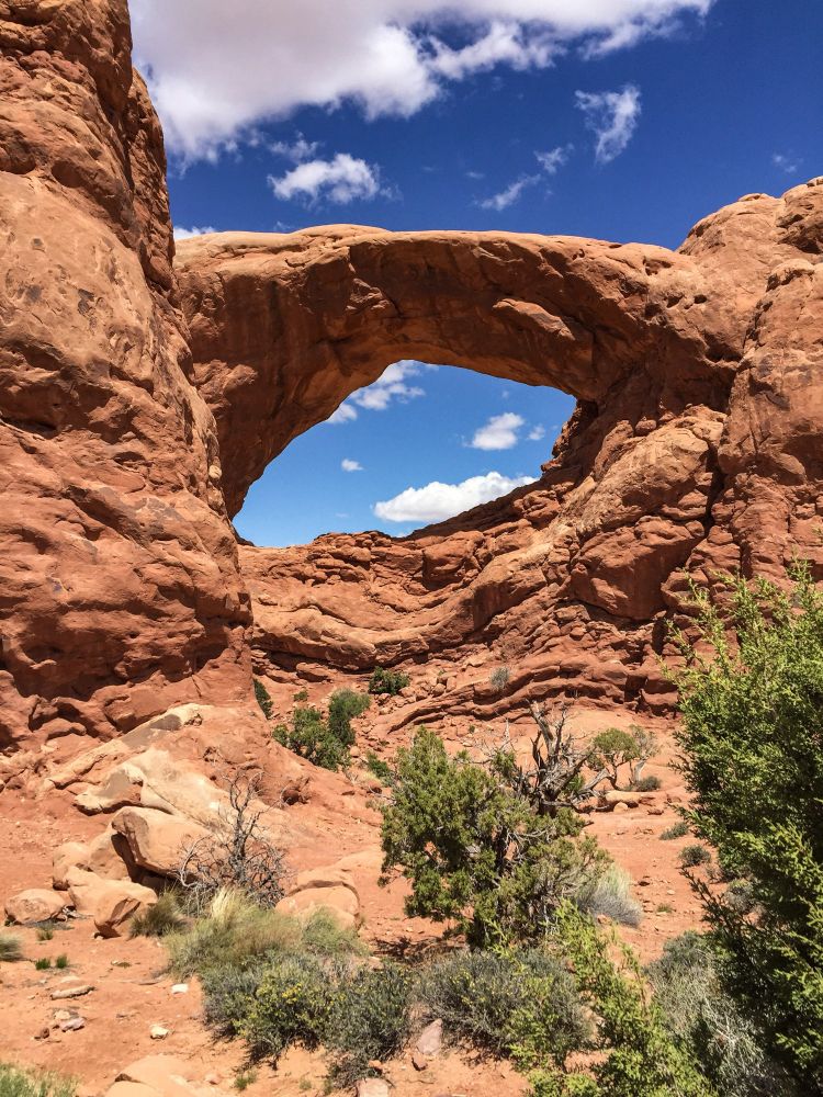 Single window formation with trees in the foreground at arches national Park