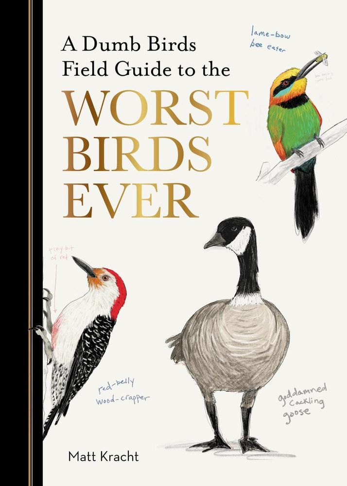 Dumb Birds Field Guide to the Worst Birds Ever by Matt Kracht.