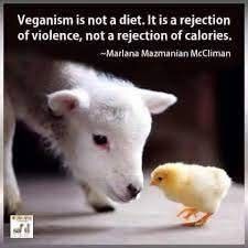 Veganism is not a diet. It is a rejection of violence, not a rejection of calories.
- Marlana McCliman 
A photo of a lamb and a baby chicken.