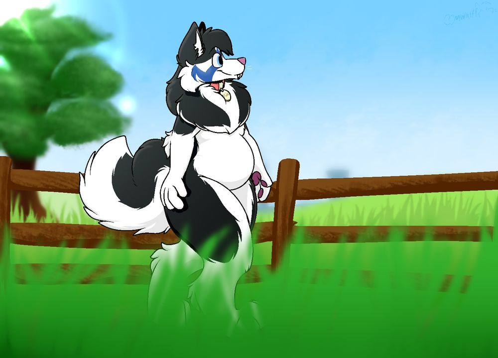 Mako walking through a field alongside a wooden fence! There's a tree in the background, and a city far in the distance. The sky is completely clear, and it is calm.