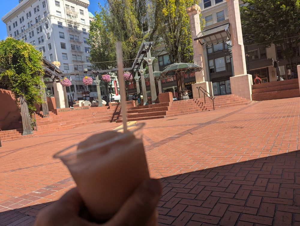 frozen rose in pioneer courthouse square in Portland, Oregon