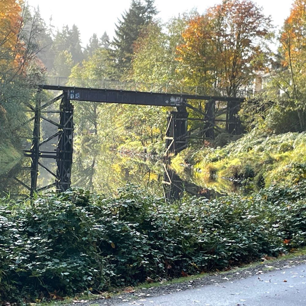 Train trestle over Sammamish slough- with path and chain-link fence.

Michael Joseph Schuarhoff
3/29/1977 - 1/2/1996
On the cold dark night of January 2nd, Michael walked this path only to never neturn.
In memory of MJS, King County has dedicated this reinforced, and now safe pathway to Michael, who will always be Loved and missed.