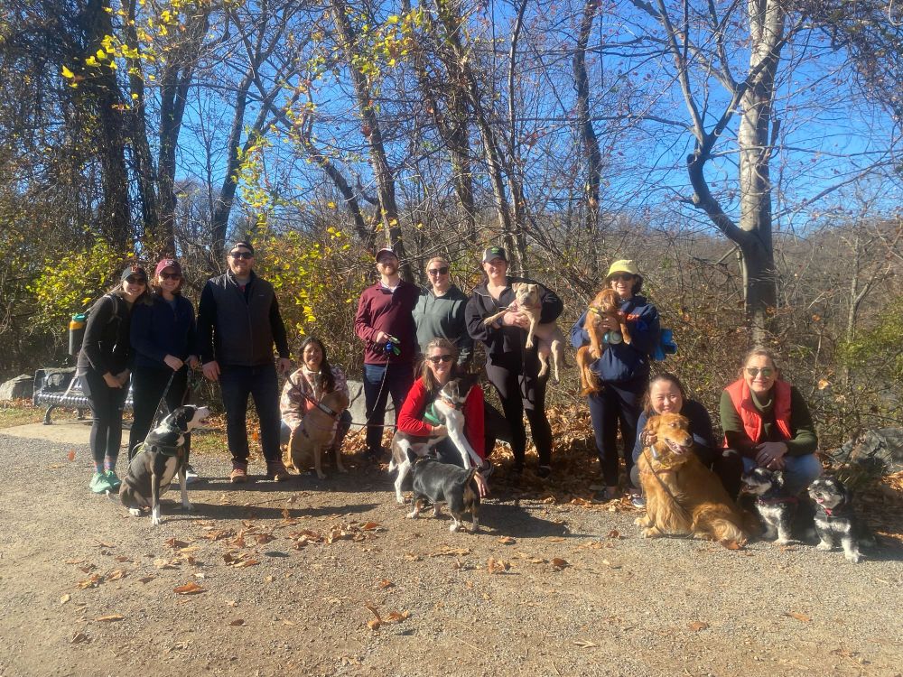 Palliative peeps with dogs on a trail in sunny weather 