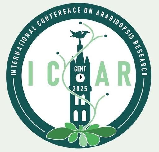 ICAR2025 logo