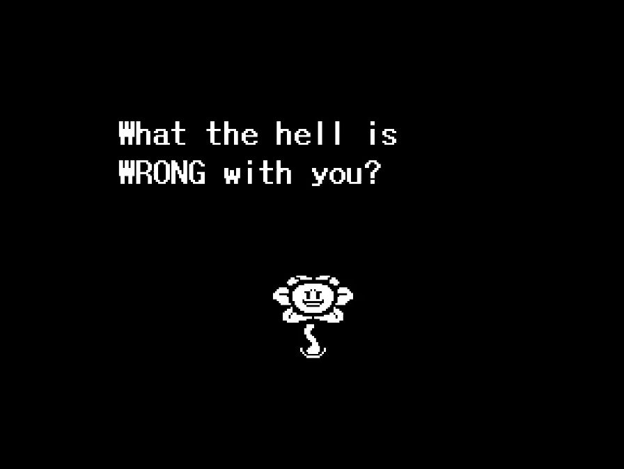 Flowey: What the hell is WRONG with you?