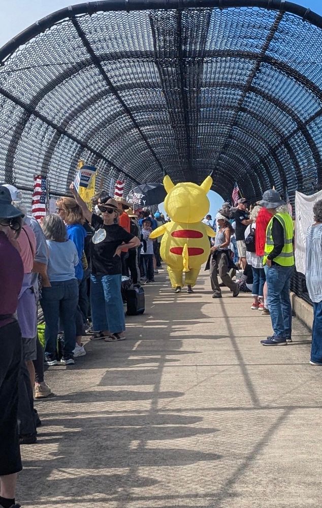 Protestors on an overpass with signs and flags. Also one Pikachu pictured. 